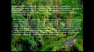 Баминорнис. недавно открывшееся предок птиц.