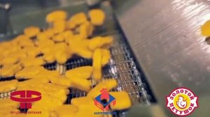 Отзыв от компании БалтПтицеПром для компании Потенциал