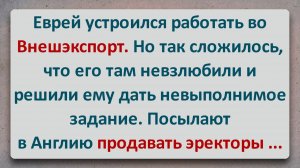 ✡️ Еврей Устроился Работать во Внешэкспорт! Еврейские Анекдоты! Анекдоты за Евреев!