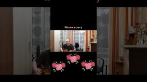 Яблоки в снегу 
Автор и исполнитель: Владимир Курочкин
