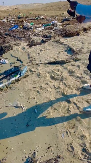 Monster Hookups youtube fishinglife youtuber shortsyoutube fishingvideo fishing