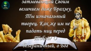Бхагават Гита 11.35-40