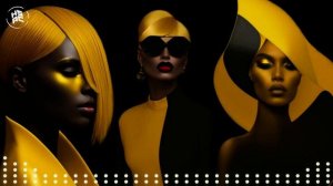 Relaxing Chill House Mix - Elegant Music