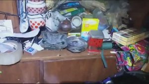 🤢У каждого свои тараканы!