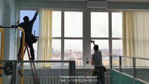 Тонировка окон в офисе солнцезащитной пленкой