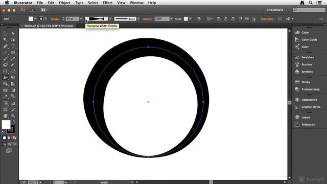 Learn Adobe Illustrator CC-43
