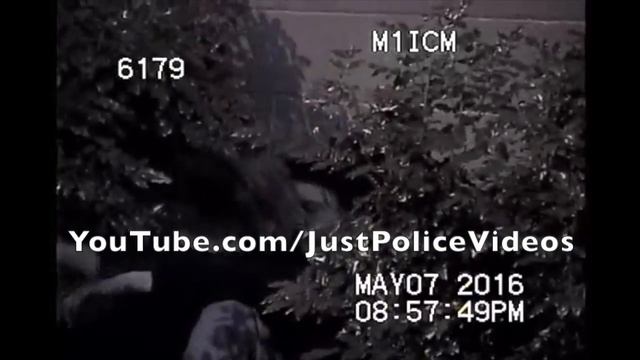 Romance Action Caught On Police Dashcam смотреть онлайн