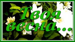 Твоя весна... 💗  Лучшие мелодии Сергея Чекалина! Послушайте!