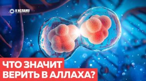 Что значит верить в Аллаха? | Ринат Абу Мухаммад