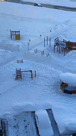 Чистим дорожки вокруг дома и подходы в горкам (УК "Данко" г.Нижневартовск)