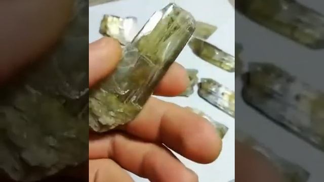 diaspor satılık