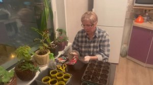 Расскажу какие помидоры сажаю в этом году
