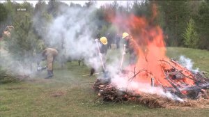 Подготовка к пожароопасному сезону началась в Вологодской области