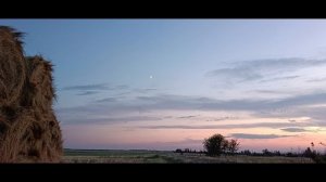 39 Горбунова Д.С. Павловка