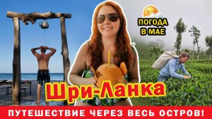 Отдых и погода на Шри-Ланка в мае! Стоит ли ехать в межсезонье? Своим ходом через весь остров!