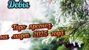 ДЕВЫ! Гороскоп - прогноз на март 2025 года и совет от карт!