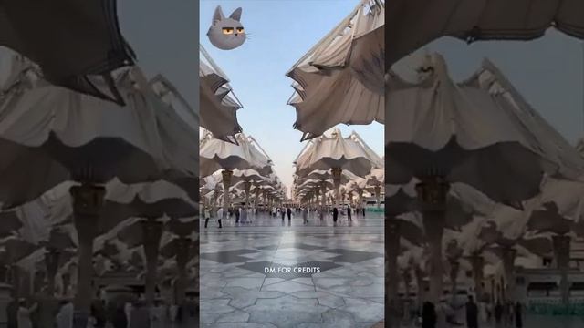 Шокирующие  моменты и красивые из всемирное  видеоролики 