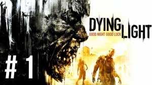 DYING LIGHT | ПЕРВОЕ ПРОХОЖДЕНИЕ | #1