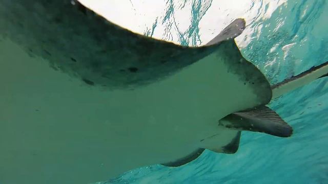 Raytime смотреть онлайн