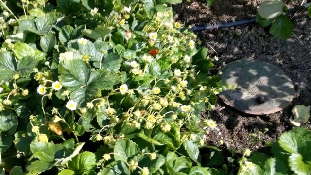 29 августа 2024 смотреть онлайн