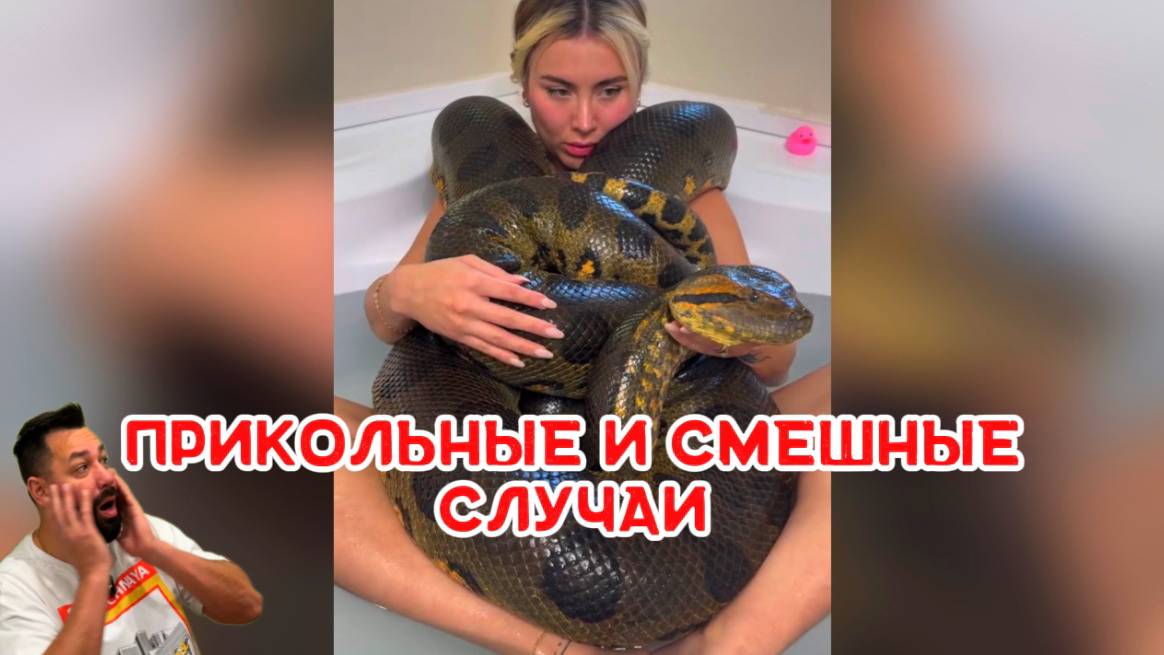 Прикольные и смешные случаи которые поднимут вам настроение