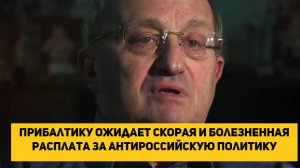 Прибалтику ожидает скорая и болезненная расплата за антироссийскую политику