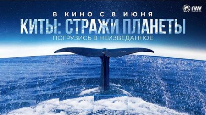 Я нашла его в Интернете - Хамуталь Бар-Йосеф