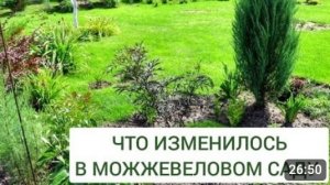 ЧТО ИЗМЕНИЛОСЬ В МОЖЖЕВЕЛОВОМ САДУ. 13.08.2024г.