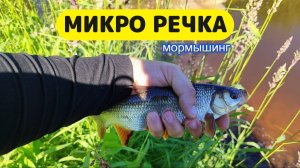 #мормышинг | Микро речка | Язь, плотва, лещ, окунь, щука они ломают спиннинги |