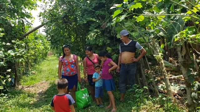 Celestina Pierde Su Anillo De Matrimonio😱 смотреть онлайн