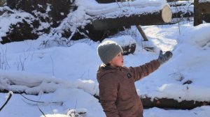 Сказочное путешествие в зимнем лесу под красивую музыку.