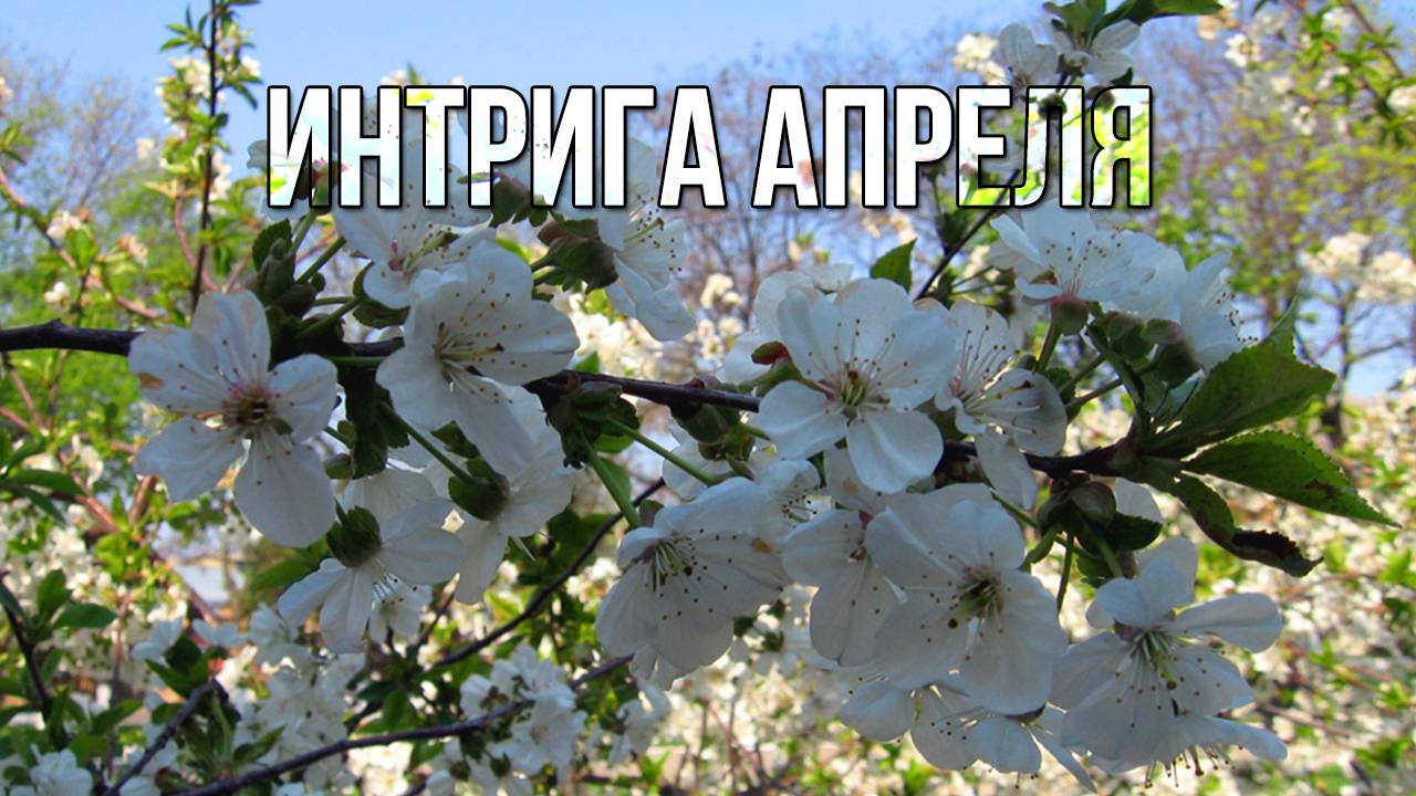 Интрига апреля. «Вечерний Ейск» от 2025.02.24 смотреть онлайн