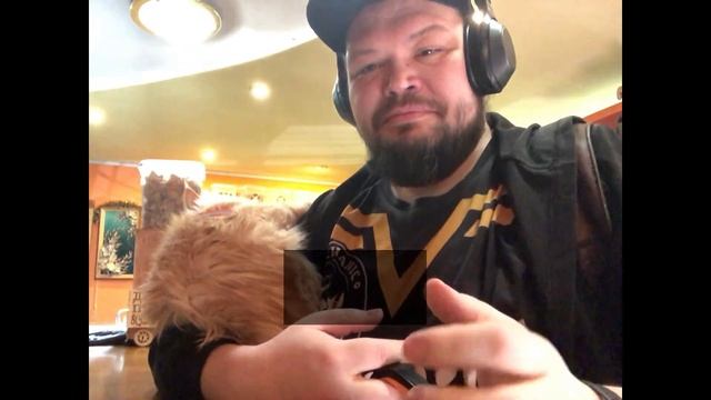 Гуляю с котом