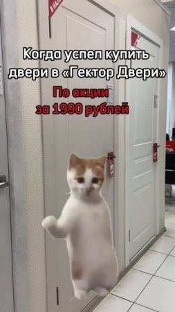 Двери по акции за 1990 рублей  #двериказань #дизайнинтерьера #ремонт #межкомнатныедвери #двери