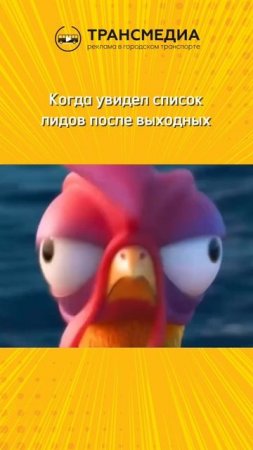 Новая неделя - новое начало