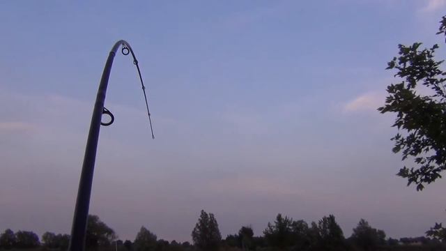 50+ Lbs Carp on the Black Phantom beginner rods смотреть онлайн
