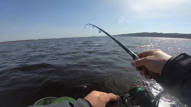 Потрапили на роздачу ПЛОТВИ! КЛЮЮТЬ СПРАВЖНІ БАТОНИ! Плотва на ФІДЕР | Плітка на Дніпрі смотреть онлайн