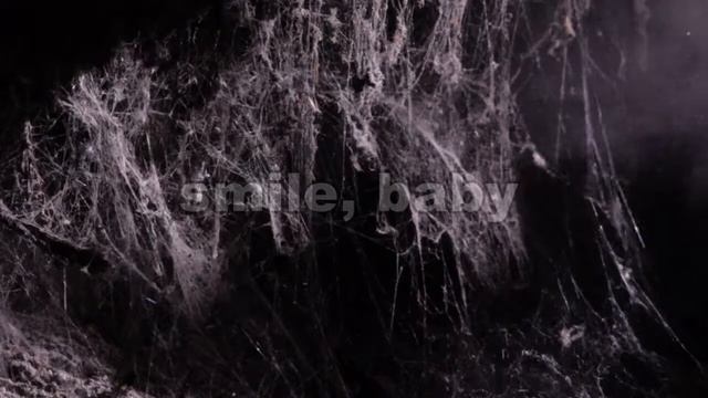 cobwebs and dust particles 04 смотреть онлайн