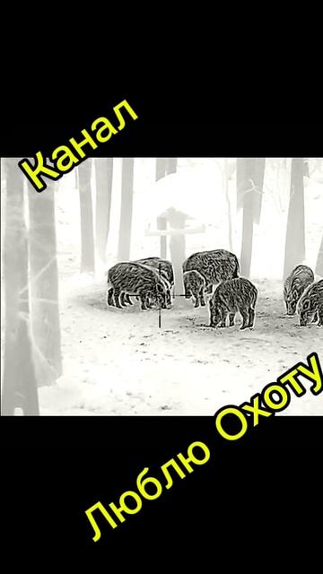 Трех Кабанов одним выстрелом 🐗 смотреть онлайн