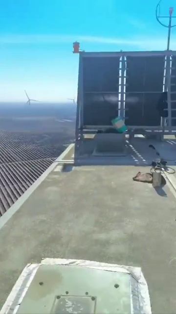 Ни травы ни деревьев ни животных ни даже птиц...