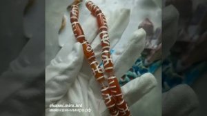 Бусины Дзи "Большой человек" ("Аристократ") на основе сердолика
