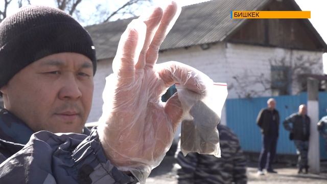 ОДИН ДЕНЬ ИЗ ЖИЗНИ КИНОЛОГА