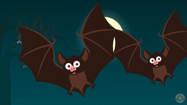 Birds Song | Learn about birds | Toddler Series | Kids song by Bindi's Music & Rhymes