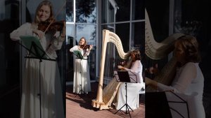 Ф.Шуберт. Серенада (переложение для скрипки и арфы)