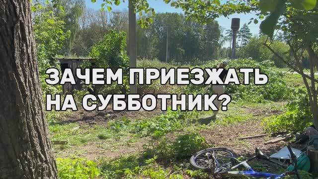 5 рукопожатий: Зачем?Почему? Как? Усадьба фон Дервиза в Старожилово, Русская верховая порода лошадей