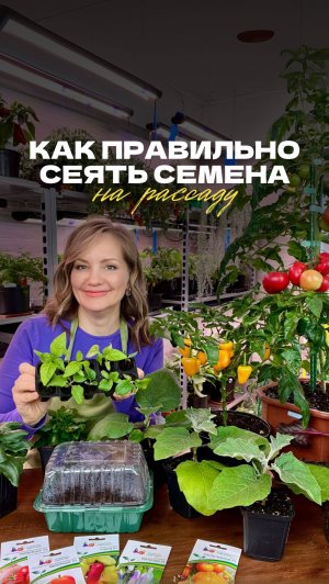 🌱 Как правильно сеять семена овощных культур на рассаду?