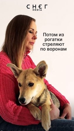 Живая мишень