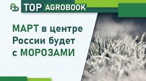 Март в центре России будет с морозами  | TOP Agrobook: обзор аграрных новостей