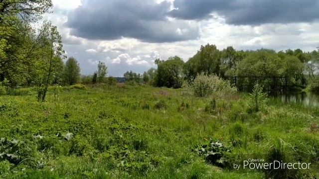 ВЛОГ:Чудесное Утро/Едем на Отдых/Красивая Природа/Лес, Пение Птиц. смотреть онлайн