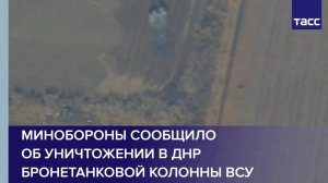 Минобороны сообщило об уничтожении в ДНР бронетанковой колонны ВСУ